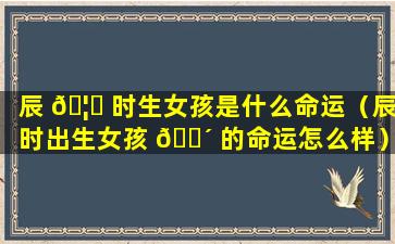 辰 🦉 时生女孩是什么命运（辰时出生女孩 🌴 的命运怎么样）